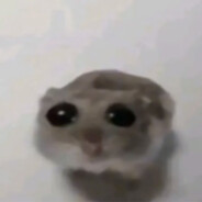 Яспер Маглот