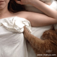 蒙牛伊利优酸乳