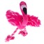 flamingo_kingz