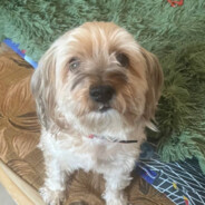 ИриZка Prime💤