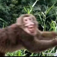 太原最后一个深情处男