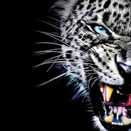 ♛ P A R S⁷ ♛🐾 avatarı