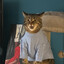 Maxi The Cat