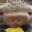 Poggersgamer