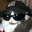 meowl