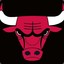 Chicago bull