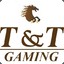 netttgaming2