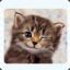 Topher