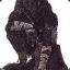 Darkwolf