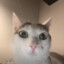 Siemion