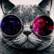 Dwayne - steam id 76561197965559401