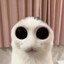 tomus