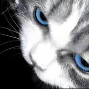 九亿少女的噩梦·