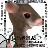 社会底层鼠鼠