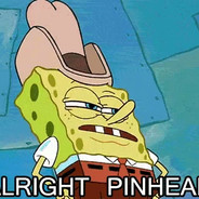 Spongetrim Budalkopf