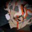 Bearcf URF.IM