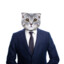 BUSINESS_CAT