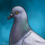 Pigeon aka SZÉTBASZÓ