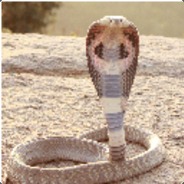 egyptcobra