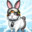 Rescue Rabbit