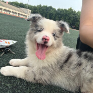 ak压到天上了这对吗