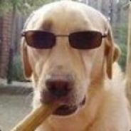 GIVE ME ￥100 OR NOT?!