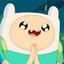 Finn The Human