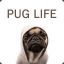 pug life