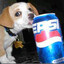 Pepsi Dawg