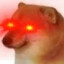 Premium Dog