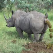 хоть обосрись