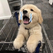 你有两颗大虎牙