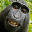 Monke