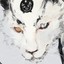 (_The werewolf_)