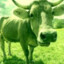 weedcow