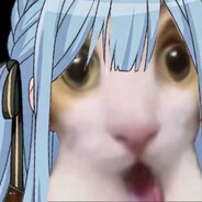 超级猫娘徐志豪