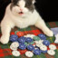 CasinoCat34