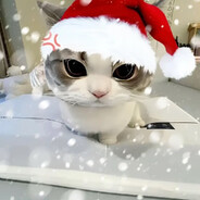 Bankai і куні Снєжі