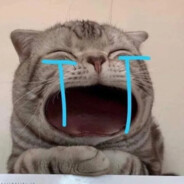 mmb