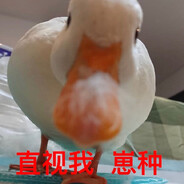 ℱℴℛℯѵℯℛ