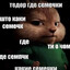 теодор и семечки