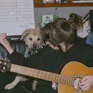 在芝加哥卖玫瑰