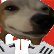 milo