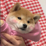RRAYARR