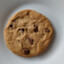 Talkative Cookie