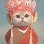 稳定辅助找克服