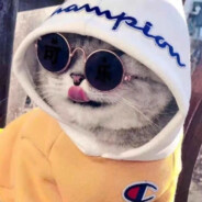 对方正在输入中...