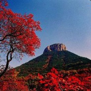 谁送我一个月Dota2Plus