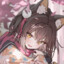 Akaxi