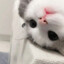 uubb